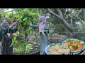 Download Lagu Kacang panjang di kebun sudah bisa di panen, masak sayur lodeh pedas , super nikmat,masakan desa
