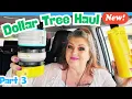 DOLLAR TREE HAUL PART 3 ABSOLUTELY AMAZING August 20 2026