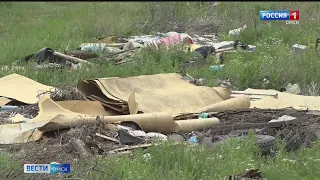 В хвойном лесу Омской области нашли большую свалку с бытовыми отходами