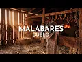 Duelo - Malabares (Visualizer)