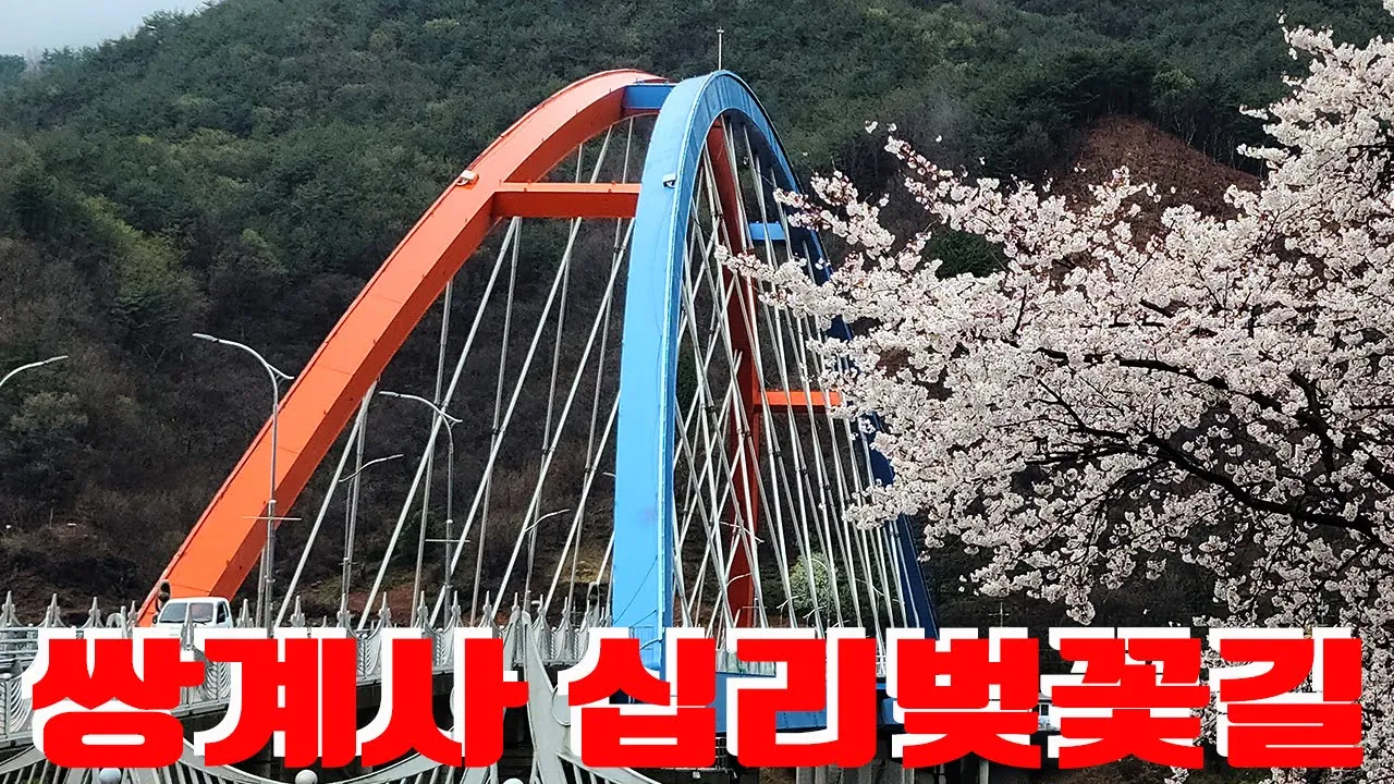 하동 쌍계사 십리벚꽃길 サムネイル