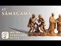 MN 104 Samagama Sutta - The Path Matters More Than the Rules 10-Minute Majjhima