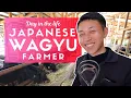 Lagu Day in the Life of a Japanese Wagyu Beef Farmer