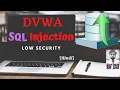 DVWA SQL Injection Low Security Solution