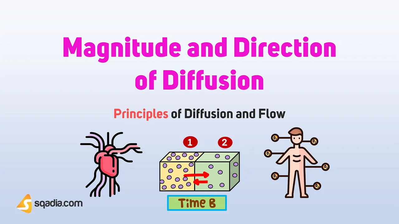 Principles of Diffusion and Flow | Magnitude and Direction of Diffusion