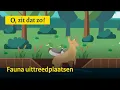 Download Lagu Fauna-uittreedplaats | O, zit dat zo!