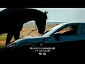 Jakone, MACAN - Purosangue