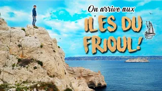 CHANCE INCROYABLE AU FRIOUL : on filme des bébés goelands #voilier coraille en voyage