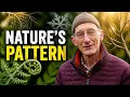 Fractals Explained The Mindfulness Practice Nature Already Offers