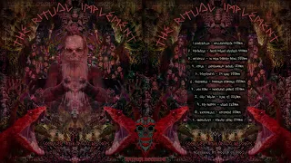track 11 groovality parvati tears 234bpm va the ritual implement vol1