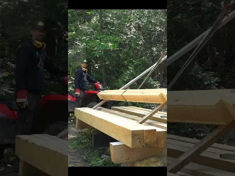 Simple Hoist for Lifting Logs