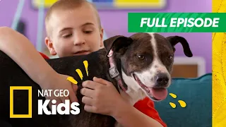 Roman to the Rescue Full Episode 🐶 | Layla | Nat Geo Kids