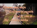 Oras na - Coritha (slide video song with lyrics on screen.)