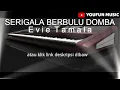 Serigala Berbulu Domba || Evie Tamala || Dangdut Karaoke
