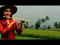 Lagu pemandangan sawah yang hijau ll SULING SUNDA ll