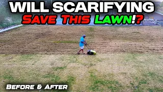 Dead Lawn Watch What Happened When I Dethatched Scarified It - Insane Results