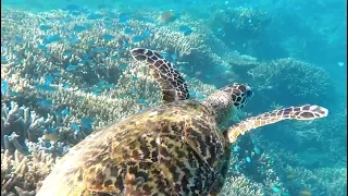 6 days in Paradise – Sailing Australia –  Learning By Doing EP 69