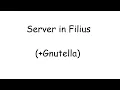 Tutorial - How to Server in Filius