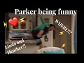 Download Lagu ✨Parker Rooney being iconic ✨ Liv and Maddie