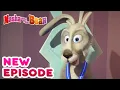 Download Lagu Masha and the Bear 💥🎬 NEW EPISODE! 🎬💥 Best cartoon collection 🎱 That's your cue!