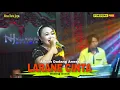 Lagu LARANE CINTA - DADANG ANESA || LIVE NGOBROG NING JERO HAPE