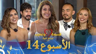 حلقات الأسبوع 14 كاملة الموسم 4 قسمة ونصيب Qesma W Naseeb 
