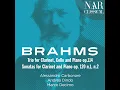 Clarinet Sonata No. 2 in E-Flat Major, Op.120 No. 2: I. Allegro amabile