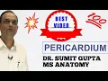 Download Lagu PERICARDIUM AND IT'S SINUSES