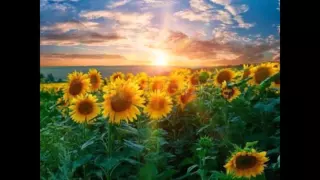 إرفع راسك إنت غالي إنت محبوب مينا جميل 