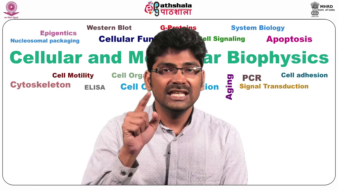 Ubiquitin proteasomal system
