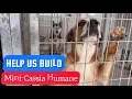 Help us build a Mini-Cassia Humane