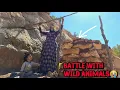 Download Lagu Building a Hut Roof Against Wild Animals for a Homeless Mother and Her Daughter
