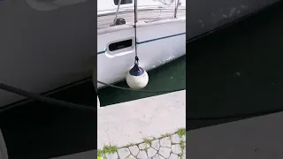 Provisioning a boat – it’s a process! #shorts