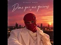 Dime que me quieres (Radio Mix)