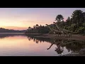 Earth in the Age of the Dinosaurs, Told Slowly | Calm Science Documentary for Deep Sleep