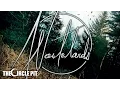 Wastelands - The Hardest Path, The Greatest Landscape (FULL EP STREAM) | The Circle Pit