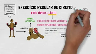 Estrito Cumprimento de Dever Legal e Exercício Regular de Direito | TEORIA DO CRIME - Parte XVI