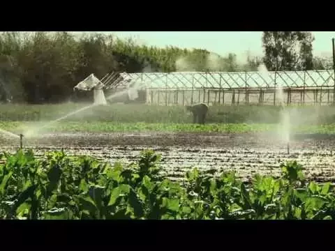 El tiempo encontrado  Trailer