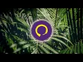 Ehrling - Groove [No Copyright Music]