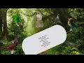 Download Lagu SUARA BURUNG GEREJA , SERINDIT, CILILIN, JANGKRIK, KAPAS TEMBAK, LOVEBIRD/MASTERAN MURAI BATU AMPUH