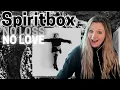 'No Loss, No Love' Spiritbox Reaction