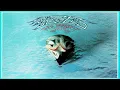 The Eagles - Lyin’ Eyes (1976)