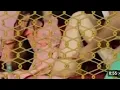 Download Lagu Natalie lesson 112: Stunning AI-Generated Indian Saree Lookbook | Leonardo \u0026 Vertex AI