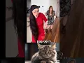 Download Lagu omg😱😳#CatReaction #FunnyCats #CatTok #CatLovers #ViralCats #CuteCats #CatLife#Meow  #CatsDaily