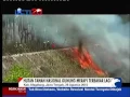 Download Lagu kebakaran hutan taman nasional  gunung merapi