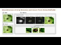 Identification of Crop Diseases and Insect Pests Using MATLAB