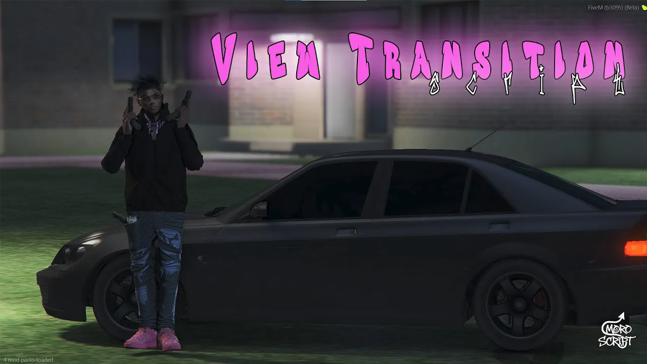 View Transition Script