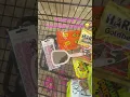 Download Lagu shopping for sleepover baskets #preppy #shopping #sleepover