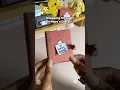 What If Shrimpo Had A Diary