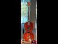 E-Bace with P-Bass reference